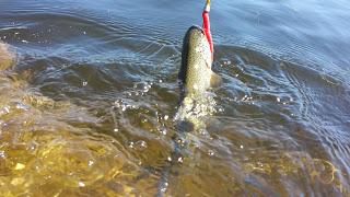 De pesca por Asturias