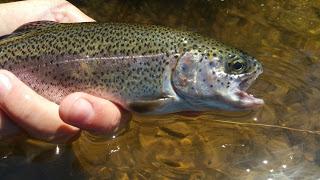 De pesca por Asturias