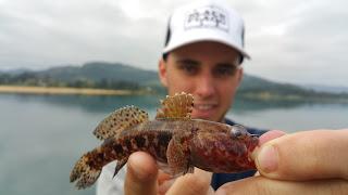 De pesca por Asturias