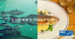 Facebook share traceability - Multilingual