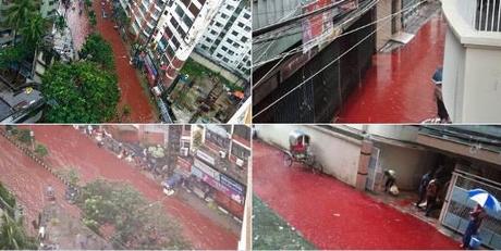 Ríos de sangre fluyen en Bangladesh