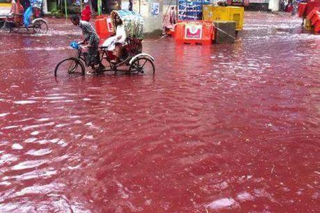 blood dhaka eid-ul-azha