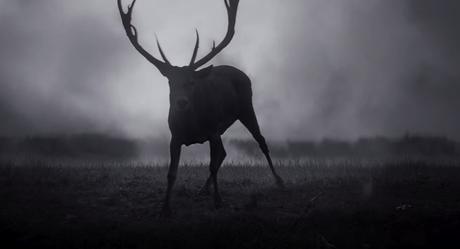 El nuevo spot del iPhone 7 llega totalmente en negro