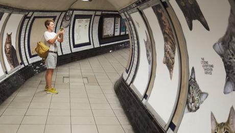 publicidad alternativa: gatitos en vez de publicidad en el metro de Londres