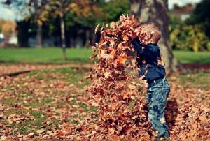 plantillas otoño