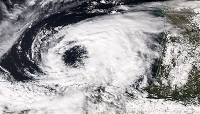 Lo que trajo Stephanie