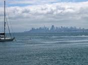 Descubre Skyline Francisco desde Sausalito