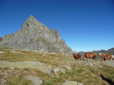 ANAYET desde el Corral de las Mulas (Formigal).