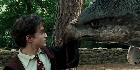 Se encuentra animal muy parecido a Buckbeak de Harry Potter