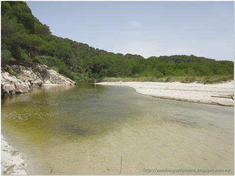 Menorca running (III): Camí de Cavalls – Senda litoral desde Cala Galdana a Cala Escorxada y vuelta