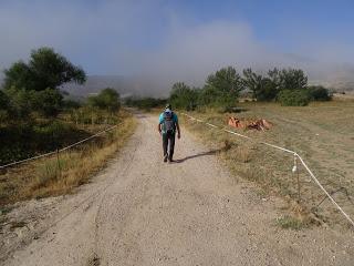 Busdongo-Rodiezmo-Alto San Antón-Buiza