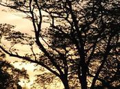 edén minerva -relatos cortos-