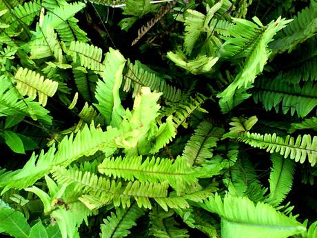 8 TRUCOS DE DECORACIÓN PARA CREAR UN AMBIENTE MÁS TRANQUILO Y RELAJADO EN CASA 8 TRUCOS DE DECORACIÓN PARA CREAR UN AMBIENTE MÁS TRANQUILO Y RELAJADO EN CASA