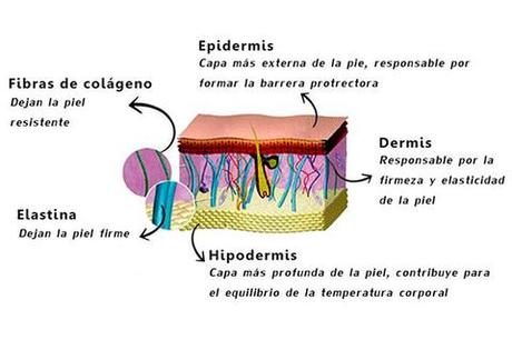 A qué edad empezar a usar COLÁGENO en nuestra rutina facial??