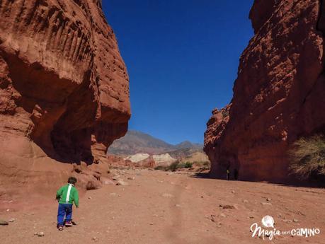 Camino de Salta a Cafayate (o el juego de encontrar formas en las rocas) img_0018