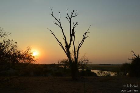 Safari en Botswana, Parque Nacional Chobe