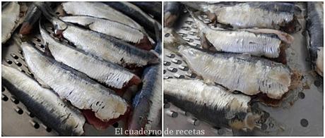 Sardinas en Aceite