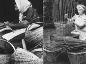 Decora mimbre como cuidarlo)