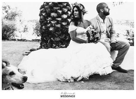fotografos-de-boda-hacienda-colora-72