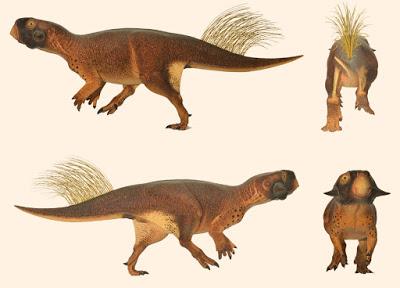 ¿Qué tanto alboroto con Psittacosaurus?