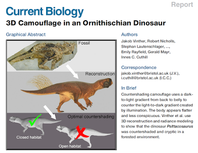 ¿Qué tanto alboroto con Psittacosaurus?