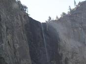 idiota viaje Going country