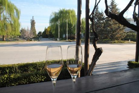 EL MEJOR MARIDAJE VINOS Y GASTRONOMIA EN BODEGA AGOSTINO EN MENDOZA