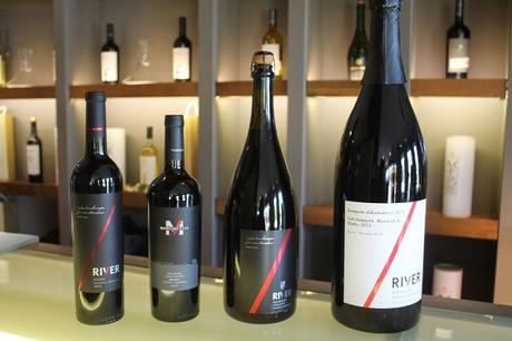 EL MEJOR MARIDAJE VINOS Y GASTRONOMIA EN BODEGA AGOSTINO EN MENDOZA