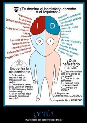 INTEGRACION CEREBRAL