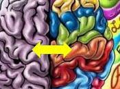 Integracion cerebral