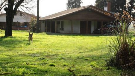 Merodeando desde la Arquitectura