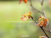 planes para este otoño