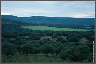 Atardecer en Monfragüe berrea Realidad