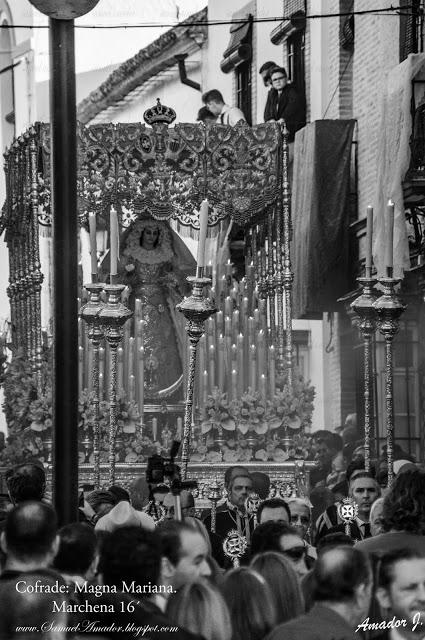 MAGNA MARIANA DE MARCHENA 2016