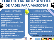 Eventos para ayudar protectoras animales Málaga Plasencia