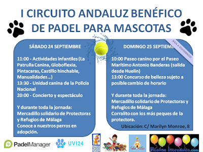 Eventos para ayudar a las protectoras de animales de Málaga y de Plasencia