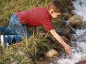 Enfermedades consumo agua potable.