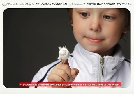 Programación del Área de Educación Emocional. Colección Preguntas Esenciales 14.