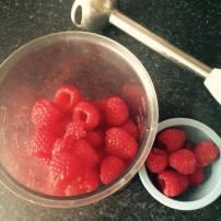 14442579_10210241232002745_1292517349_n