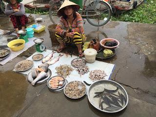 Mercados muy vivos (Jardin du Mekong - Can Tho día 15  #vietnamim16)