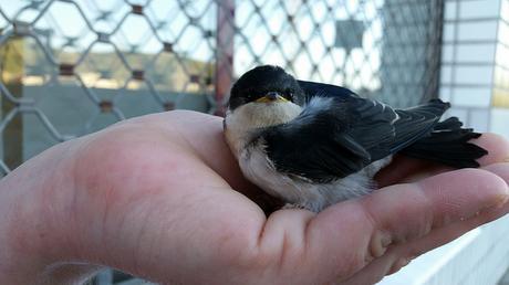 Androidografia Barakaldo DXVI. Respeto #fotografia Androidografia Barakaldo 1784