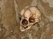 Entidades extraterrestres Tierra