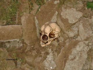 Entidades extraterrestres en la Tierra