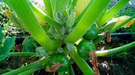 El BLOG se traslada, suscríbete al nuevo. image