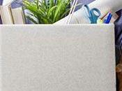 Calificación despido