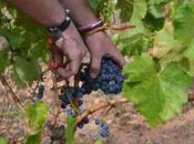 Monasterio Piedra, parada indispensable ruta vino