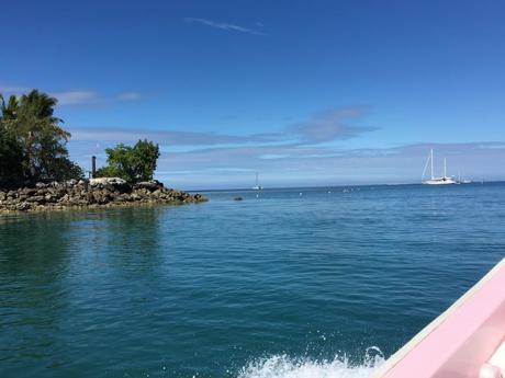 ANANDA  VAHINI  EDICION 42 - ESPAÑOL