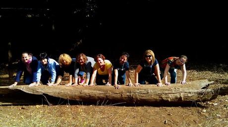 Tarta de Chocolate con crema Gofio y Gofio frito