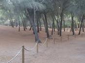 Playa Muro