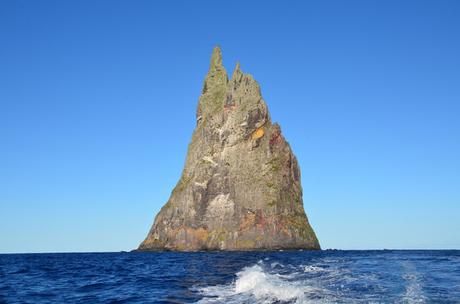 El insecto más raro del mundo en el lugar menos inesperado